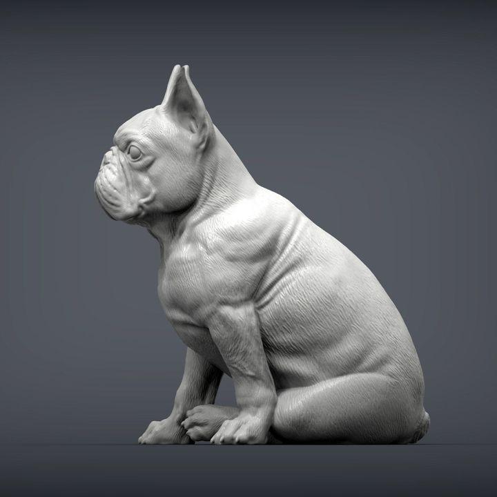 French Bulldog - UNPAINTED 3D figure - Alexander3dart