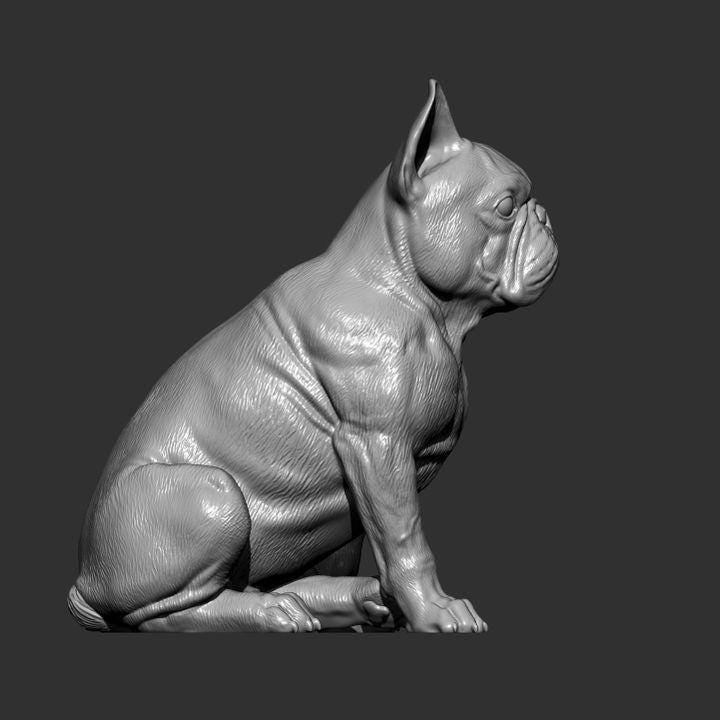 French Bulldog - UNPAINTED 3D figure - Alexander3dart