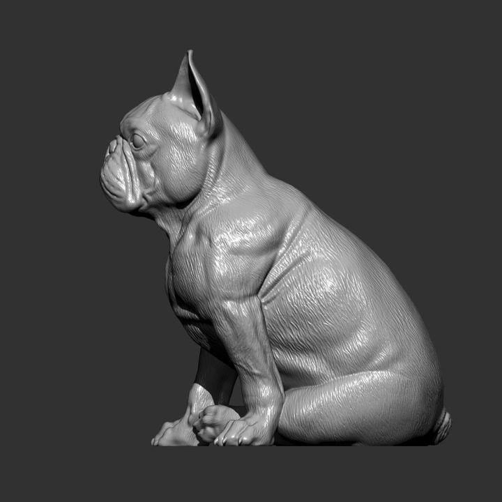 French Bulldog - UNPAINTED 3D figure - Alexander3dart