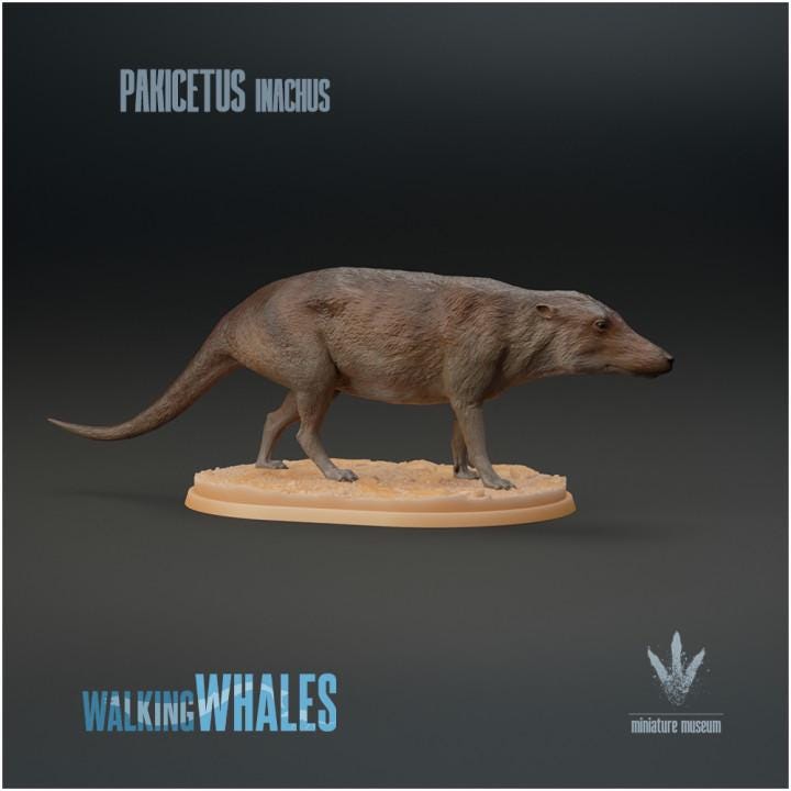 Pakicetus inachus : Dog-like Whale - UNPAINTED 3D figure - Miniature Museum