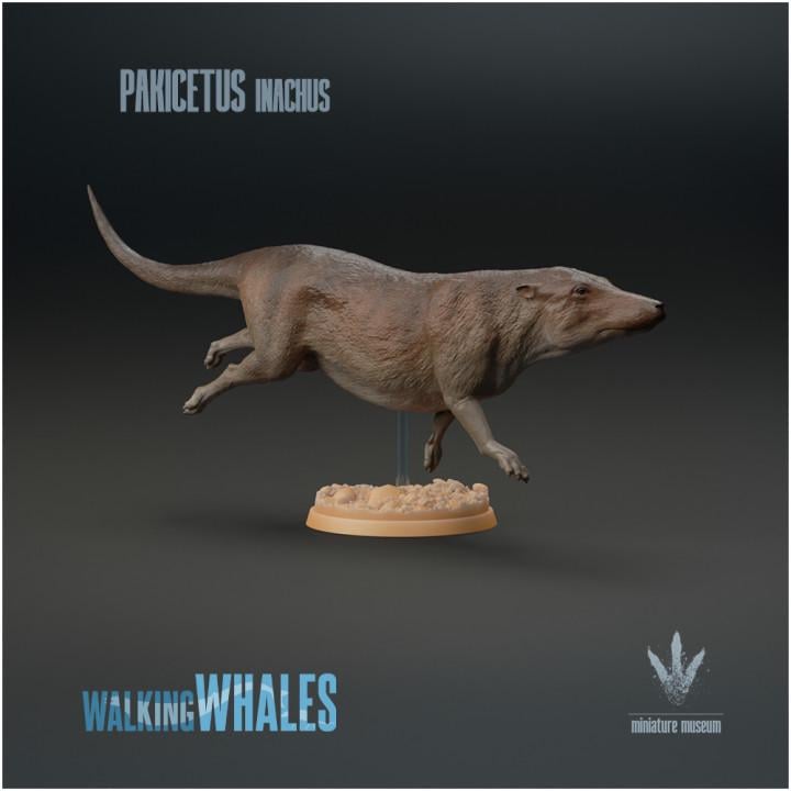 Pakicetus inachus : Swimming - UNPAINTED 3D figure - Miniature Museum