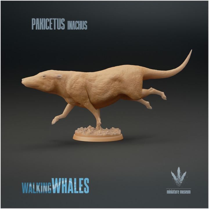 Pakicetus inachus : Swimming - UNPAINTED 3D figure - Miniature Museum