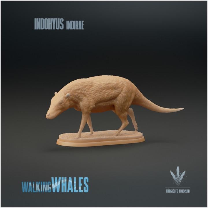 Indohyus indirae : The Missing Link - UNPAINTED 3D figure - Miniature Museum