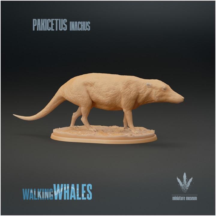 Pakicetus inachus : Dog-like Whale - UNPAINTED 3D figure - Miniature Museum