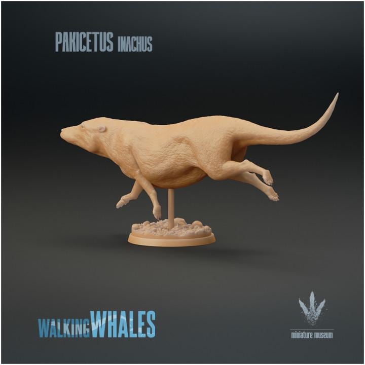Pakicetus inachus : Swimming - UNPAINTED 3D figure - Miniature Museum