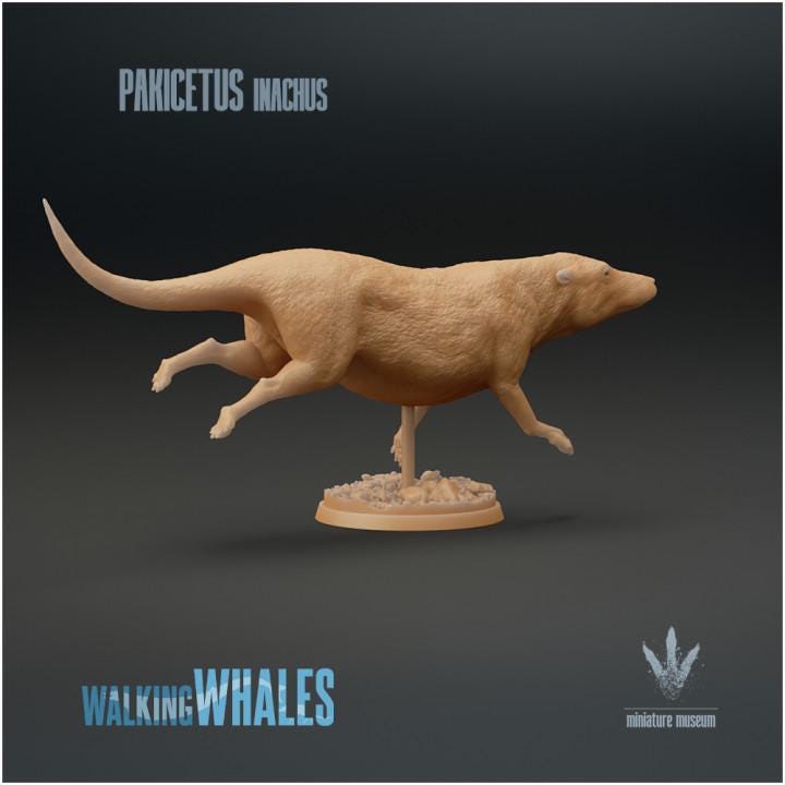 Pakicetus inachus : Swimming - UNPAINTED 3D figure - Miniature Museum