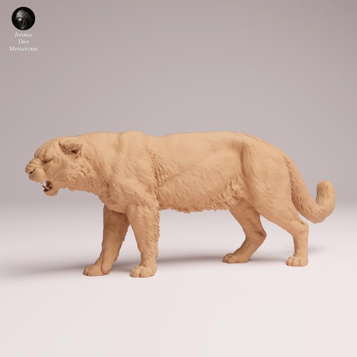 Amur Leopard Roar - UNPAINTED 3D Resin Figure - Animal Den Miniatures