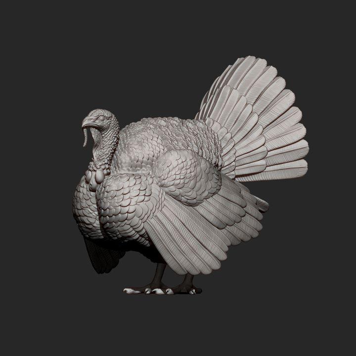 Turkey - UNPAINTED 3D figure - Alexander3dart