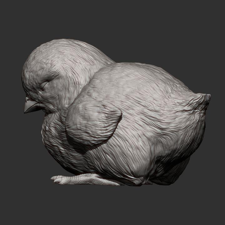 Sleeping Chick - UNPAINTED 3D Figure - Alexander3dart