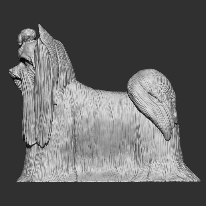 Long-haired Yorkshire Terrier - UNPAINTED 3D Figure - Alexander3dart