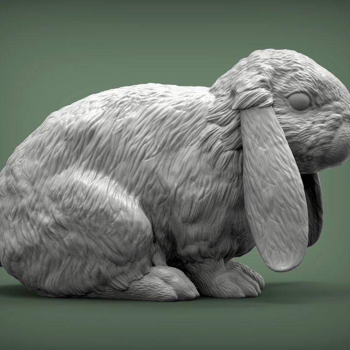 American Fuzzy Fop - UNPAINTED 3D resin figure - Alexander3dart