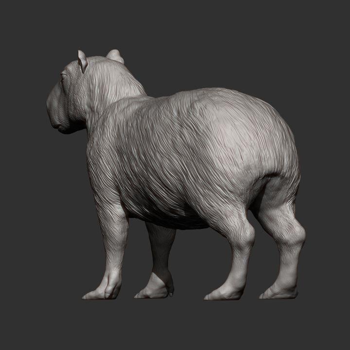 Capybara - UNPAINTED 3D figure - Alexander3dart