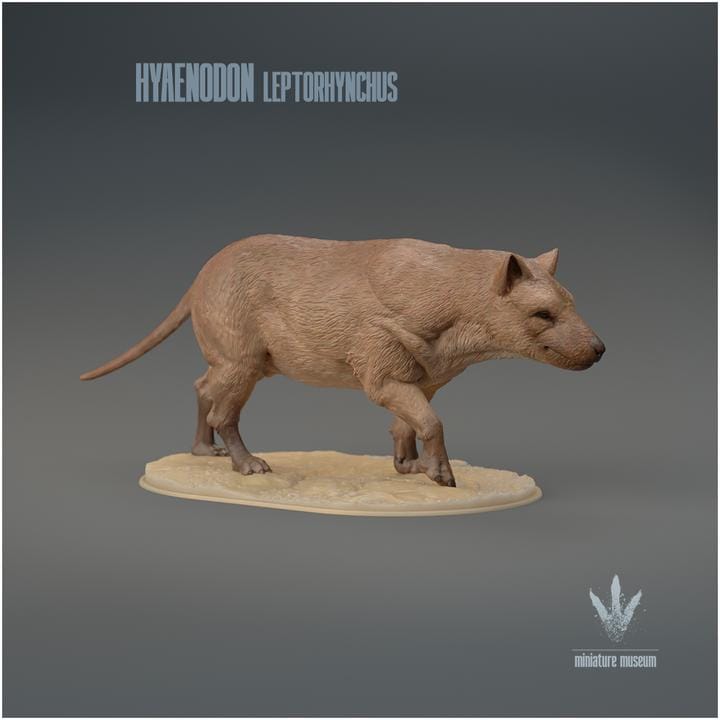 Hyaenodon leptorhynchus : The Hyaena Tooth - UNPAINTED 3D Resin Figure - Miniature Museum