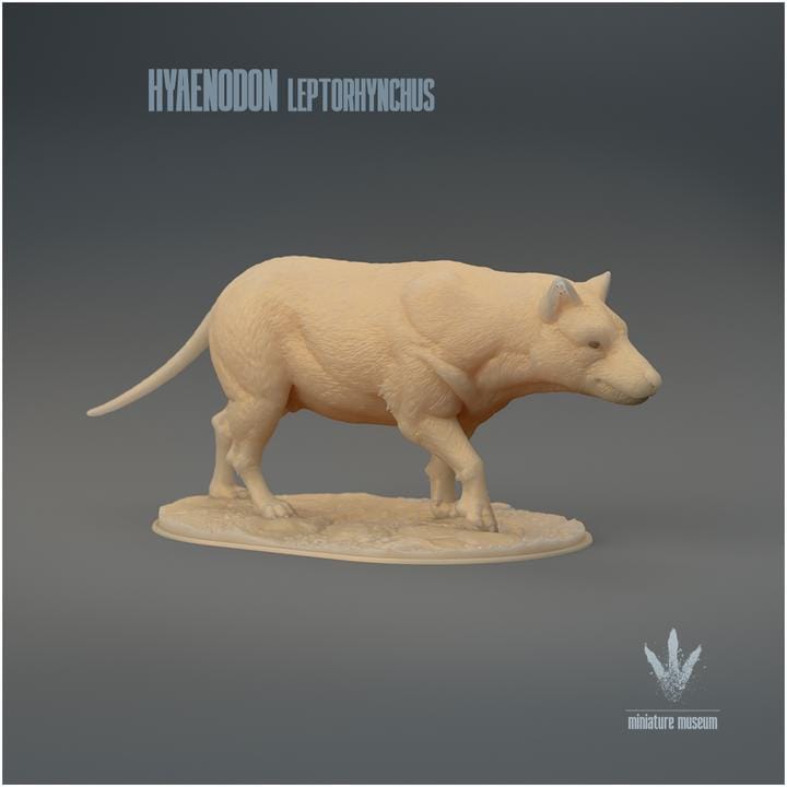 Hyaenodon leptorhynchus : The Hyaena Tooth - UNPAINTED 3D Resin Figure - Miniature Museum