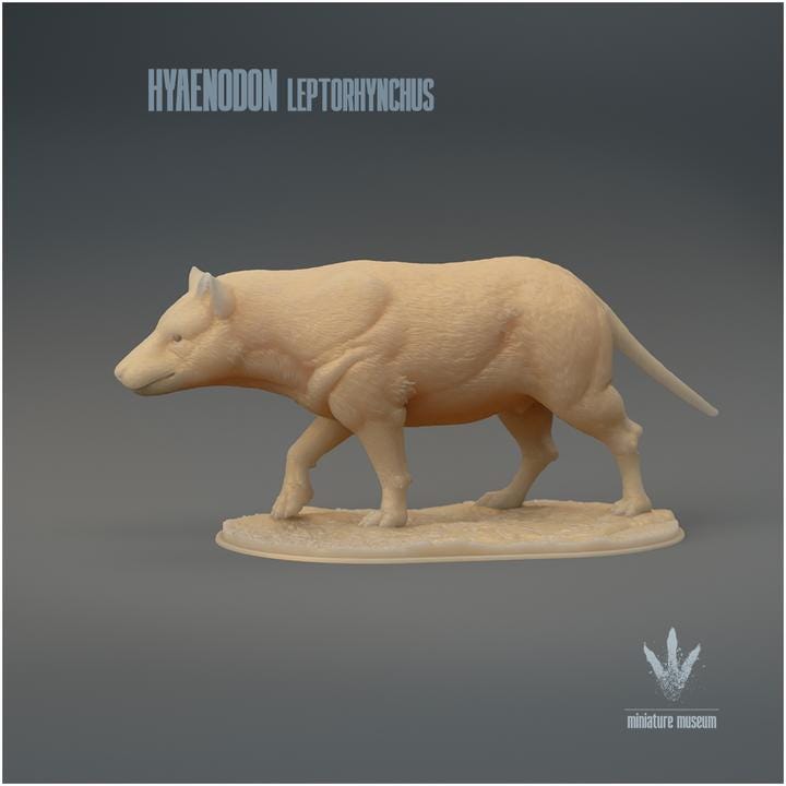 Hyaenodon leptorhynchus : The Hyaena Tooth - UNPAINTED 3D Resin Figure - Miniature Museum