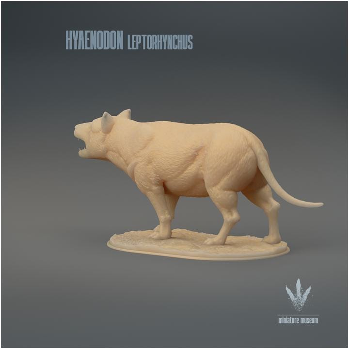 Hyaenodon leptorhynchus : Roar - UNPAINTED 3D Resin Figure - Miniature Museum