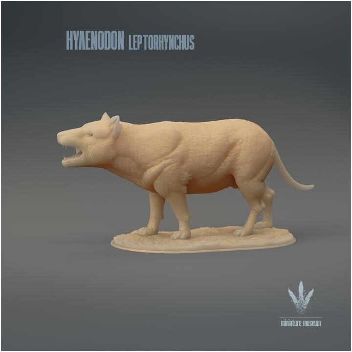 Hyaenodon leptorhynchus : Roar - UNPAINTED 3D Resin Figure - Miniature Museum