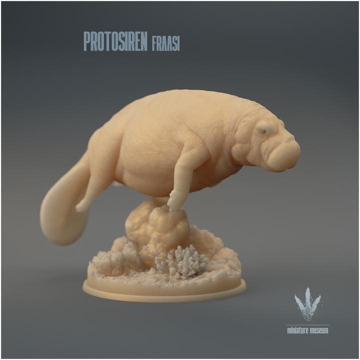 Protosiren fraasi : The Prehistoric Manatee - UNPAINTED 3D Resin Figure - Miniature Museum