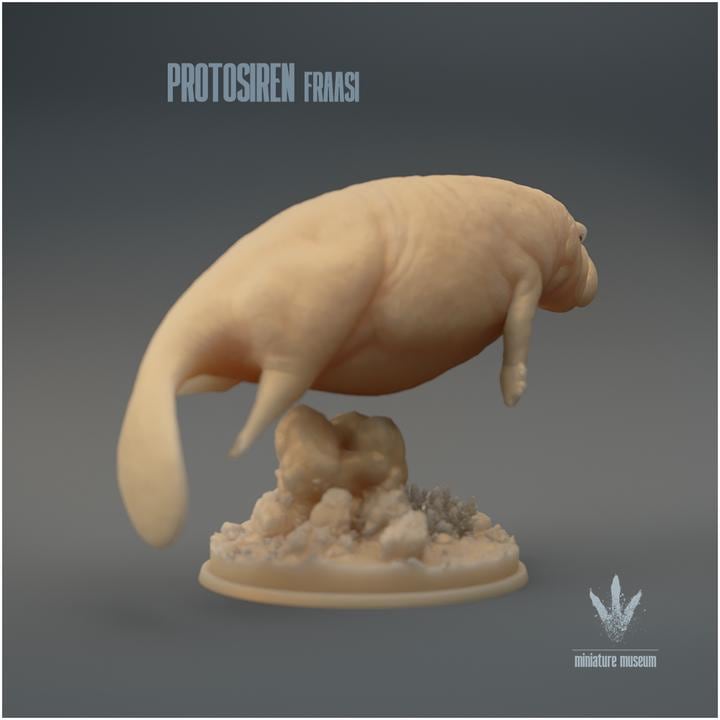 Protosiren fraasi : The Prehistoric Manatee - UNPAINTED 3D Resin Figure - Miniature Museum