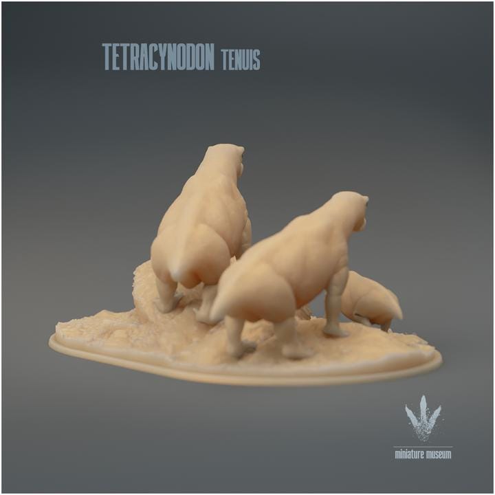 Tetracynodon tenuis : Family Group - UNPAINTED 3D Resin Figure - Miniature Museum