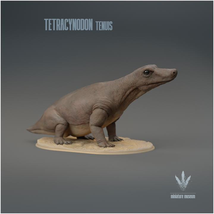 Tetracynodon tenuis : Sitting - UNPAINTED 3D Resin Figure - Miniature Museum