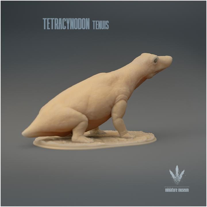 Tetracynodon tenuis : Sitting - UNPAINTED 3D Resin Figure - Miniature Museum