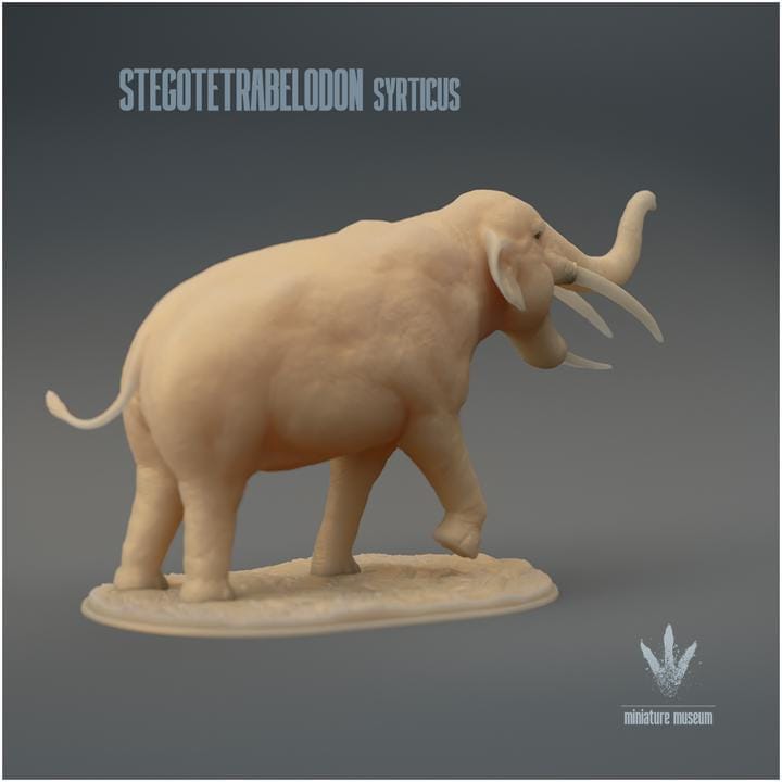 Stegotetrabelodon syrticus : Display - UNPAINTED 3D Resin Figure - Miniature Museum