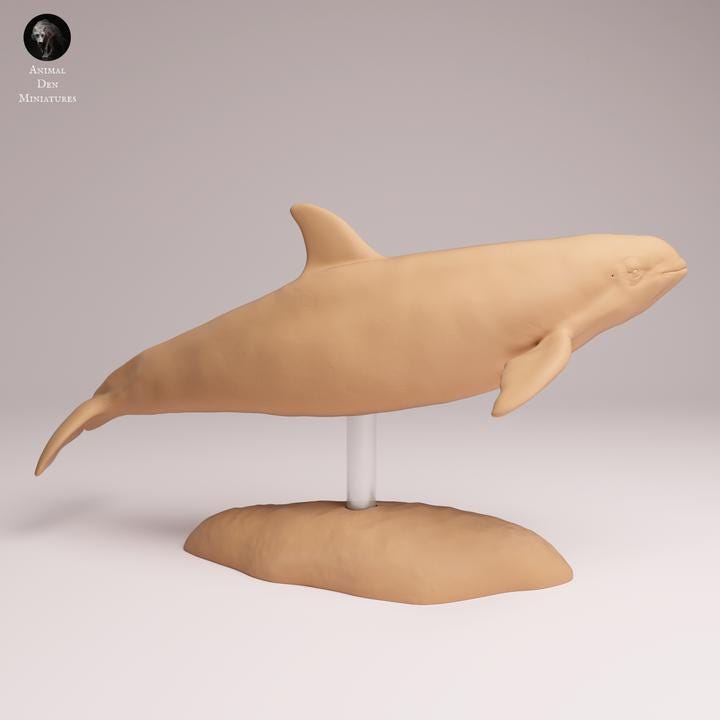 Vaquita - Dolphin - UNPAINTED 3D Resin Figure - Animal Den Miniatures