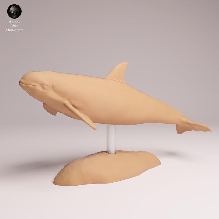 Vaquita - Dolphin - UNPAINTED 3D Resin Figure - Animal Den Miniatures