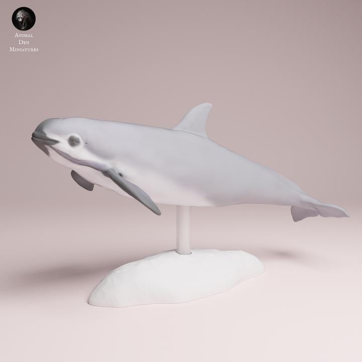 Vaquita - Dolphin - UNPAINTED 3D Resin Figure - Animal Den Miniatures