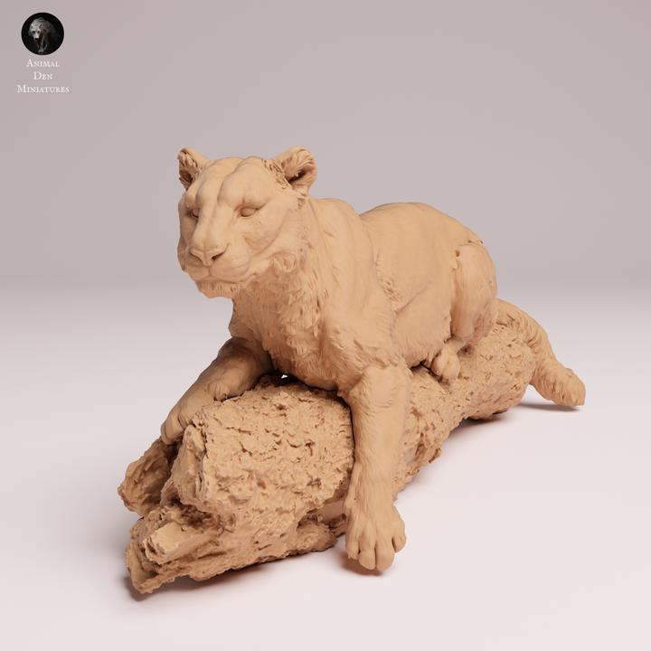 Amur Leopard on a Tree - UNPAINTED 3D Resin Figure - Animal Den Miniatures