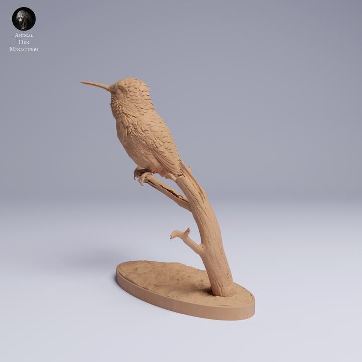 Bee Hummingbird - UNPAINTED 3D Resin Figure - Animal Den Miniatures