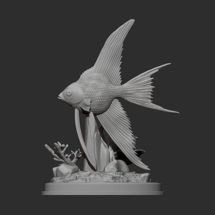 Angelfish - UNPAINTED 3D Resin Figure - Alexander3dart