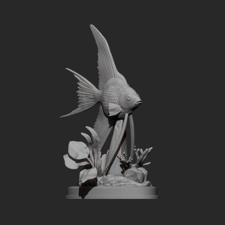 Angelfish - UNPAINTED 3D Resin Figure - Alexander3dart