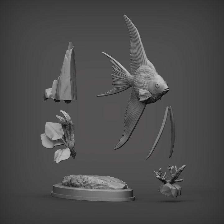 Angelfish - UNPAINTED 3D Resin Figure - Alexander3dart