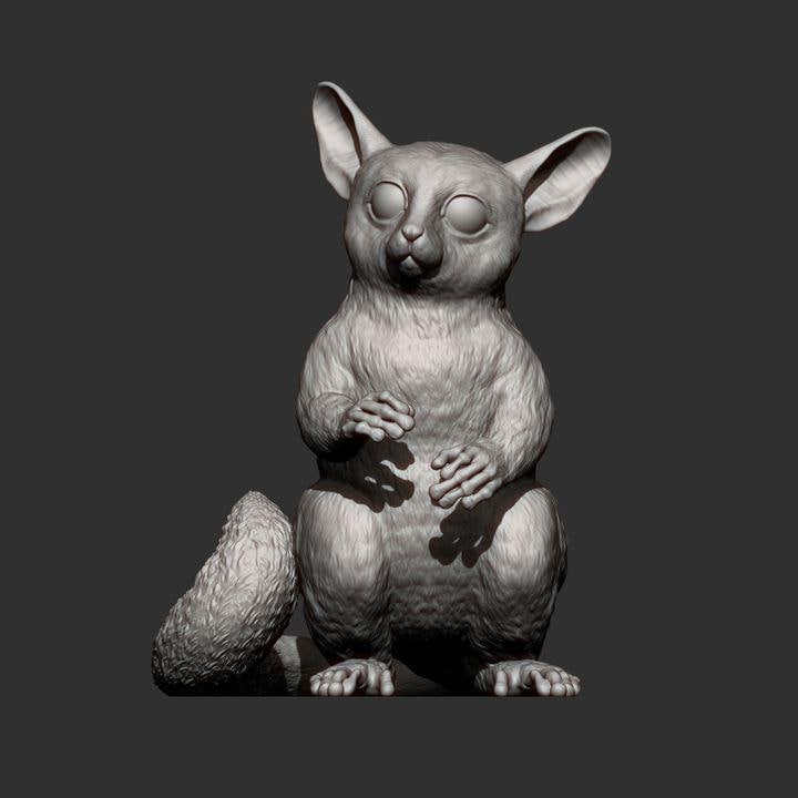 Smnigalsky Galago Bush Baby - UNPAINTED 3D figure - Alexander3dart