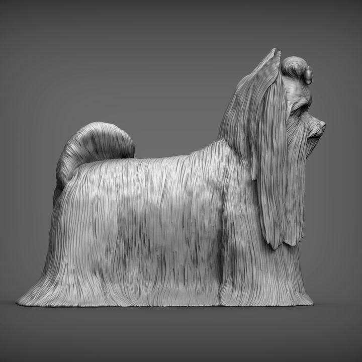 Long-haired Yorkshire Terrier - UNPAINTED 3D Figure - Alexander3dart
