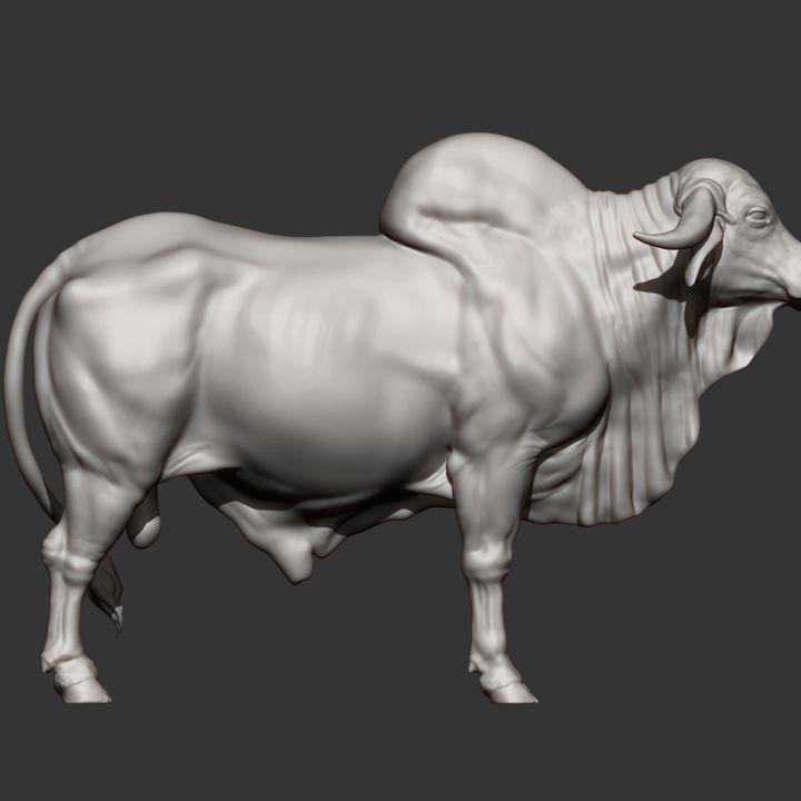 Gyr Bull - UNPAINTED 3D Figure - Alexander3dart
