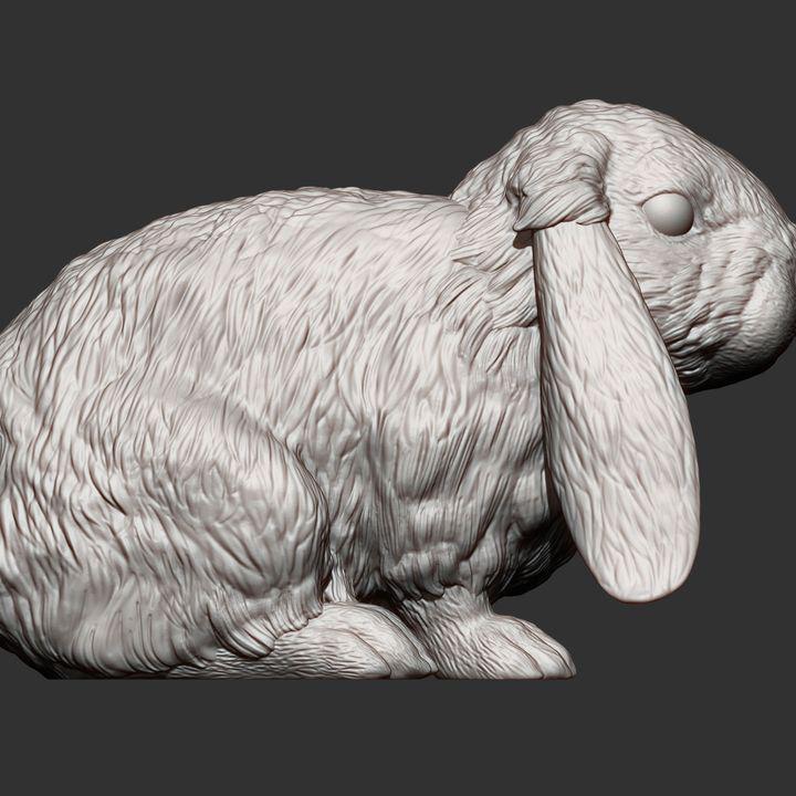 American Fuzzy Fop - UNPAINTED 3D resin figure - Alexander3dart