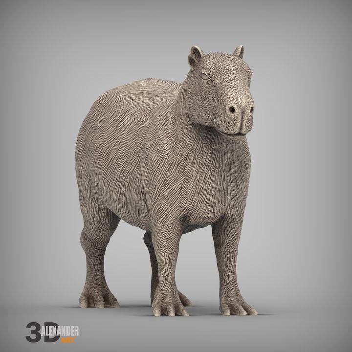 Capybara - UNPAINTED 3D figure - Alexander3dart