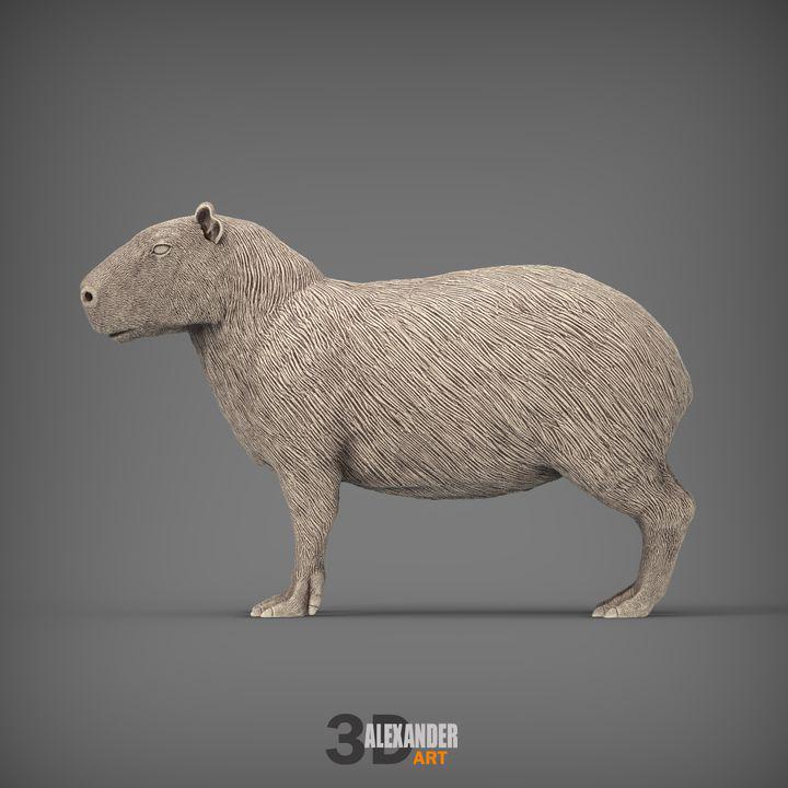 Capybara - UNPAINTED 3D figure - Alexander3dart