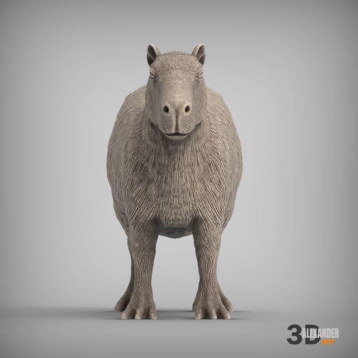Capybara - UNPAINTED 3D figure - Alexander3dart