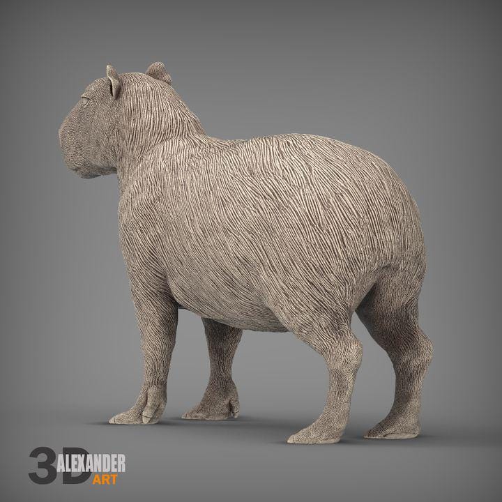 Capybara - UNPAINTED 3D figure - Alexander3dart