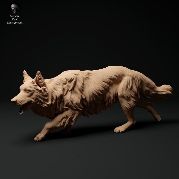 Border Collie - UNPAINTED 3D Resin Figure - Animal Den Miniatures