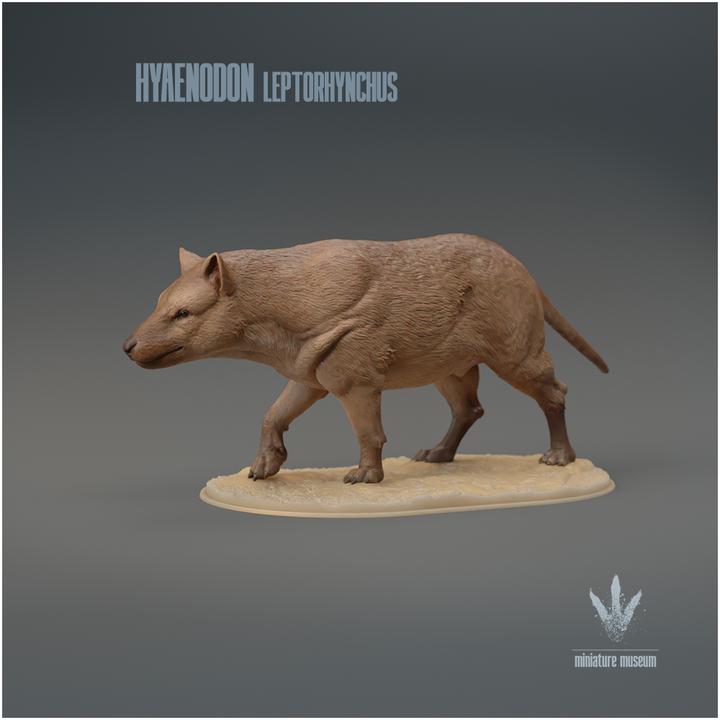Hyaenodon leptorhynchus : The Hyaena Tooth - UNPAINTED 3D Resin Figure - Miniature Museum