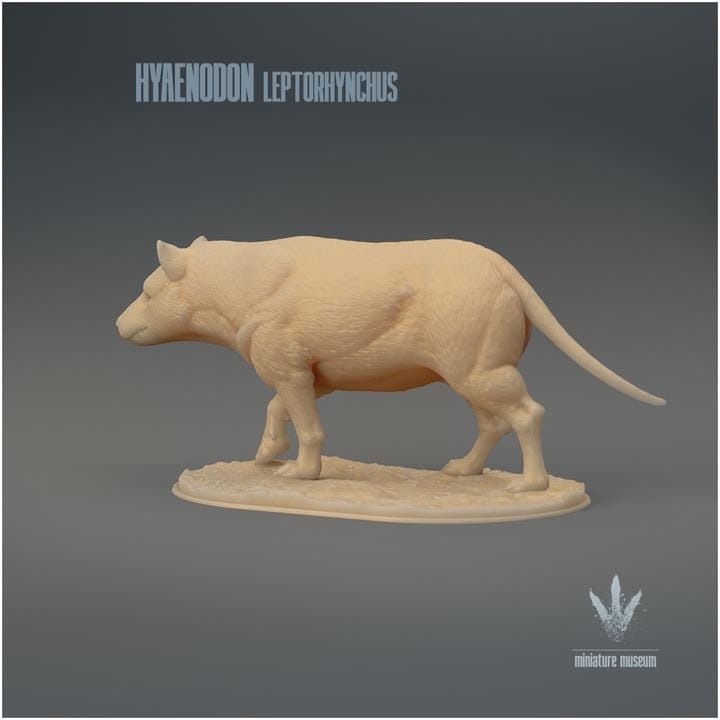 Hyaenodon leptorhynchus : The Hyaena Tooth - UNPAINTED 3D Resin Figure - Miniature Museum