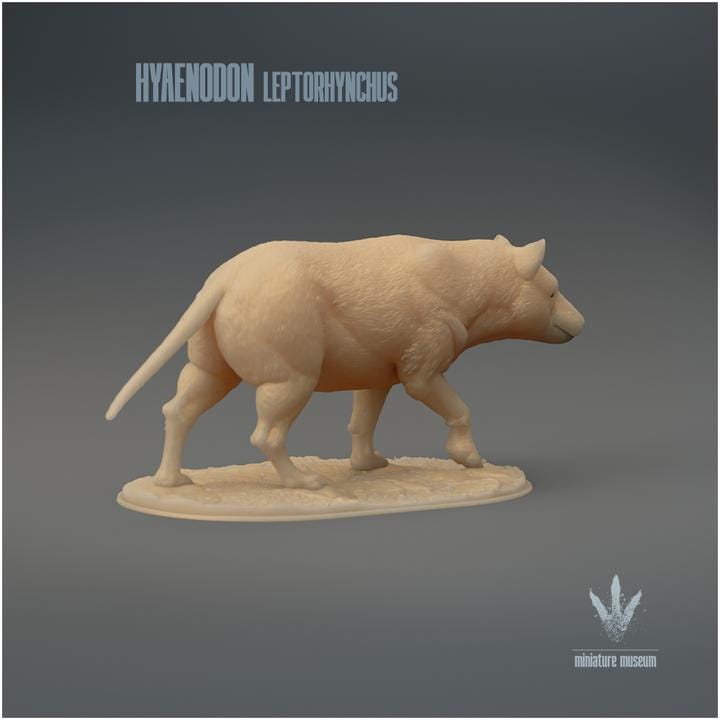 Hyaenodon leptorhynchus : The Hyaena Tooth - UNPAINTED 3D Resin Figure - Miniature Museum