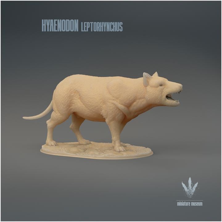 Hyaenodon leptorhynchus : Roar - UNPAINTED 3D Resin Figure - Miniature Museum