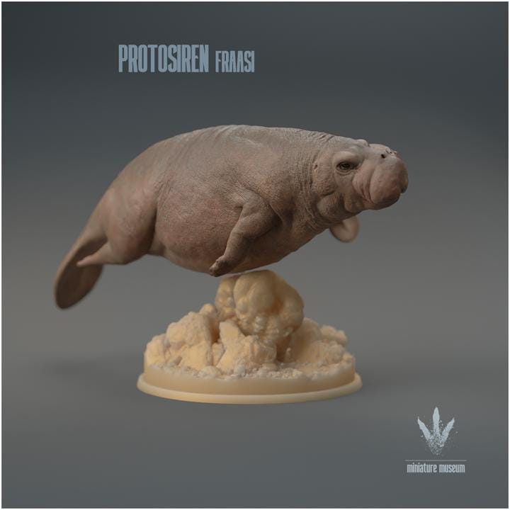 Protosiren fraasi : The Prehistoric Manatee Family - UNPAINTED 3D Resin Figure - Miniature Museum