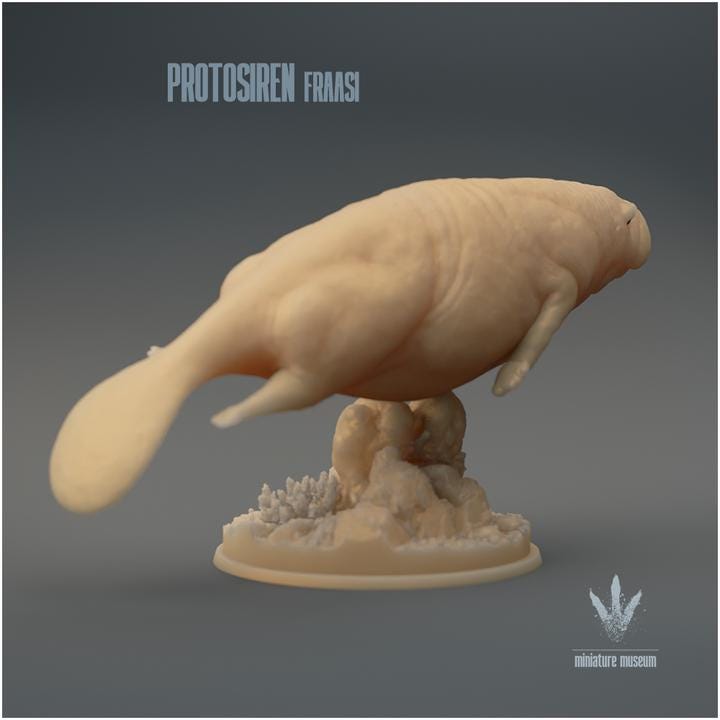 Protosiren fraasi : The Prehistoric Manatee Family - UNPAINTED 3D Resin Figure - Miniature Museum
